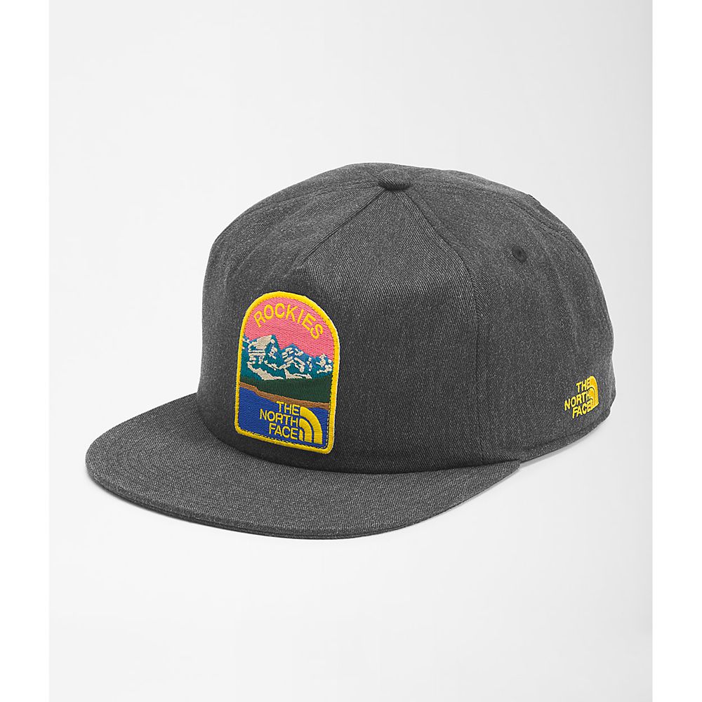 The North Face Caps Mens Australia - The North Face Embroidered Earthscape Ball Dark Grey (TUR-54928